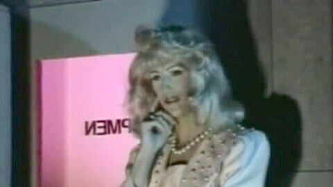 80s Crossdresser Porn - Vintage Bisex Orgy 80s, Cartoon Shemale Family Rules - Shemale.Movie